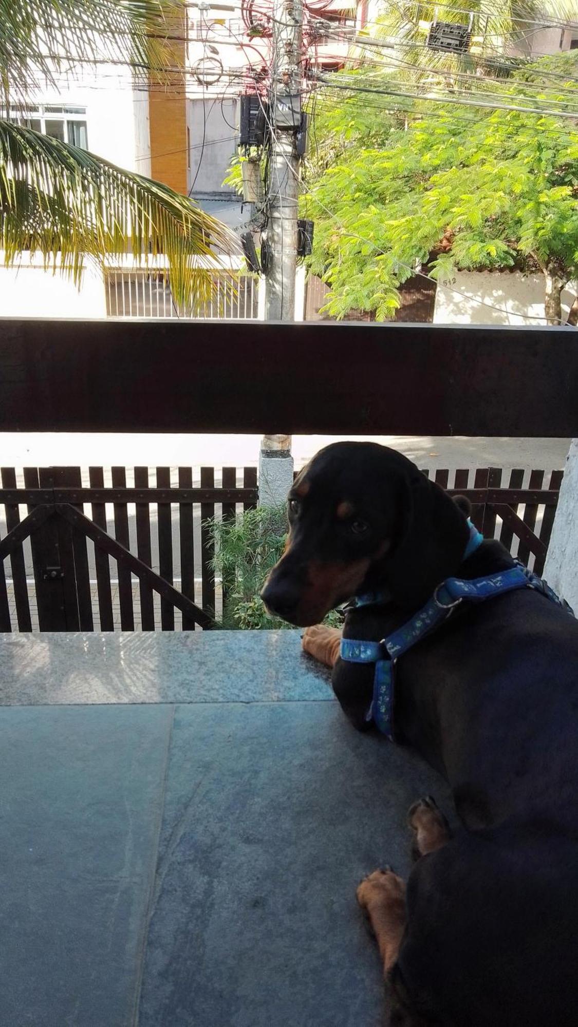 Casa Aconchegante 100M Da Praia Do Forte Cabo Frio Phòng bức ảnh